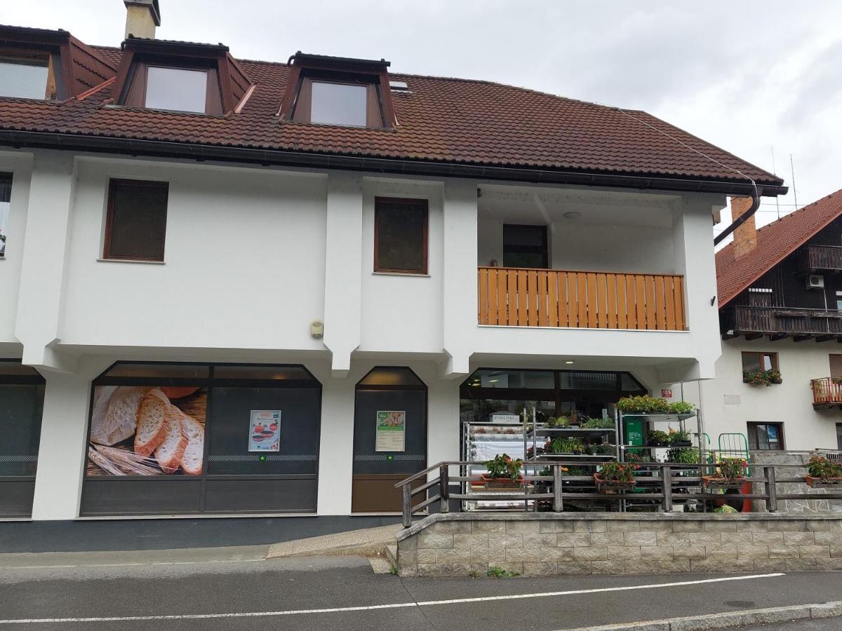 Apartment Veninsek Luče 外观 照片